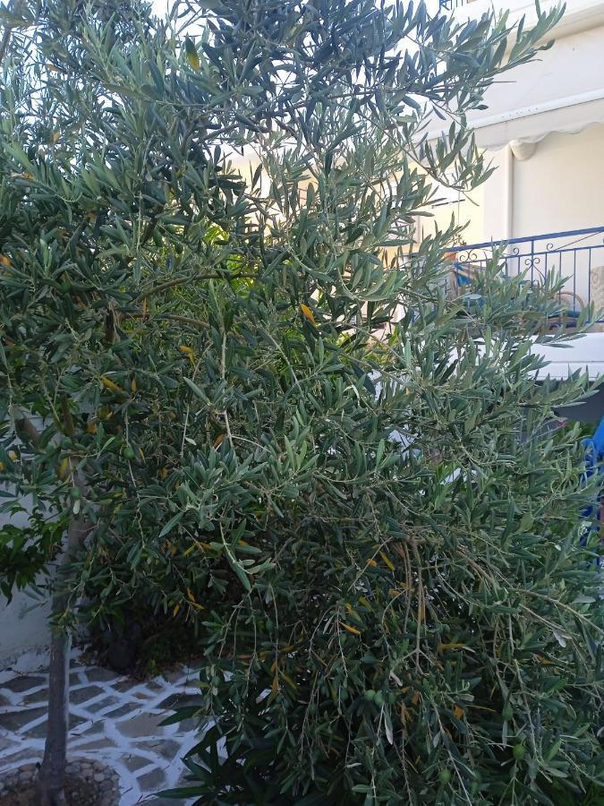 Seethesea Apartment Kanali Preveza Exterior photo